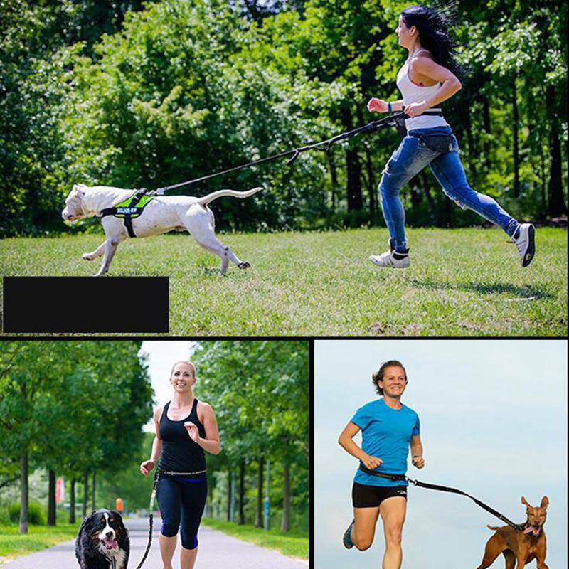 outdoor dog leash run