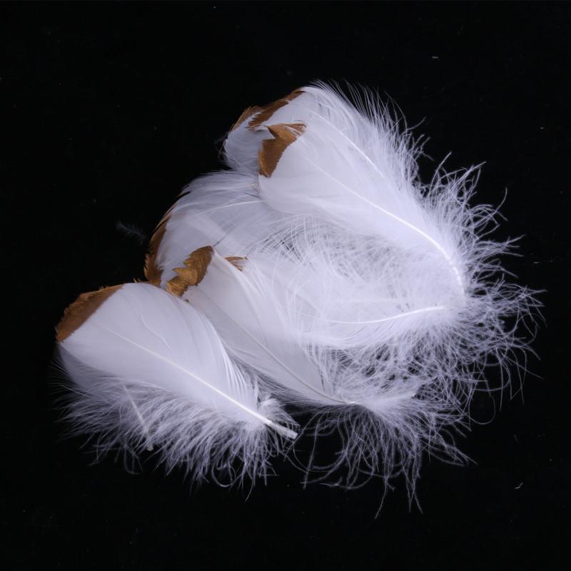 

50 шт. Разные узоры Золотой градиент Перо Гусиное перо Сделай сам Одежда Рукоделие Ювелирные изделия Декоративные аксессуары