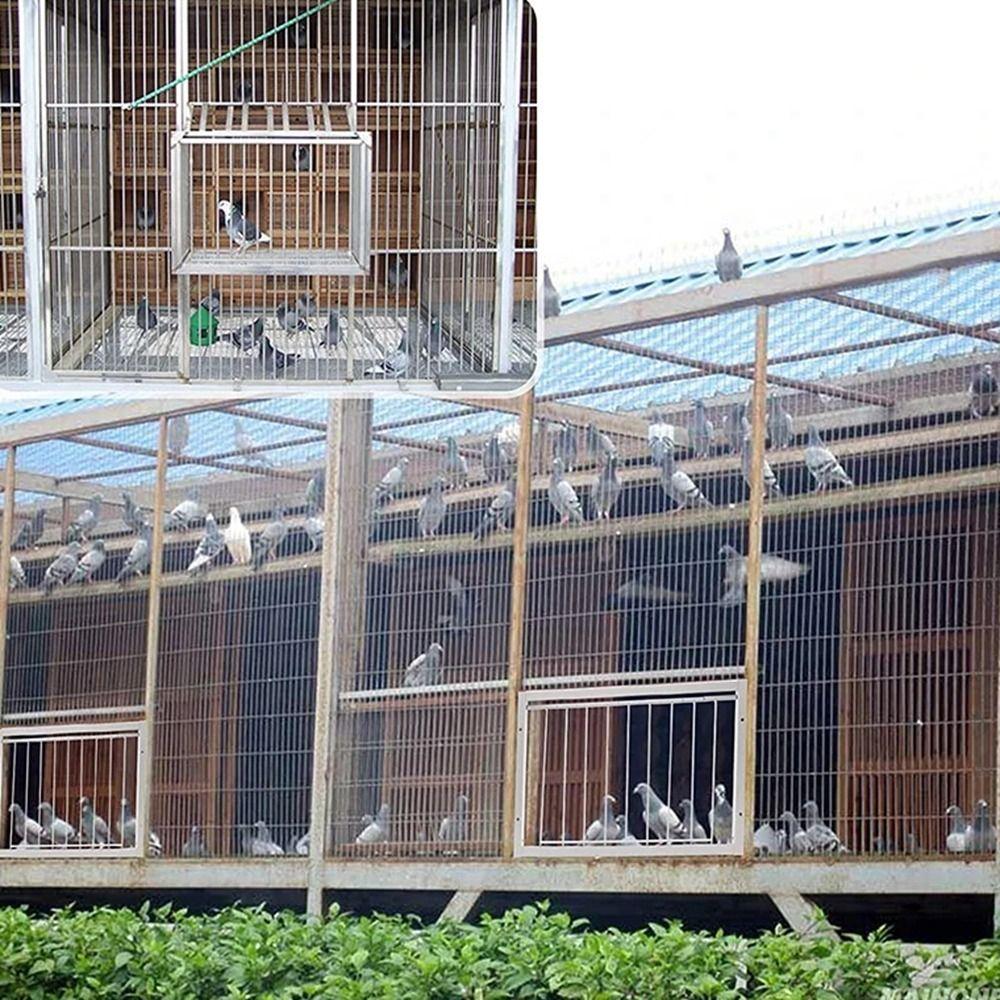 Porta d'ingresso rimovibile per piccioni Porta a battente singola Gabbia per cattura uccelli Porta per piccionaia Uccello
