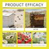 The Attractant Is An Efficient Tool For Attracting Bee And Assisting In The Management Of Beekeeping In Apiaries,237ML