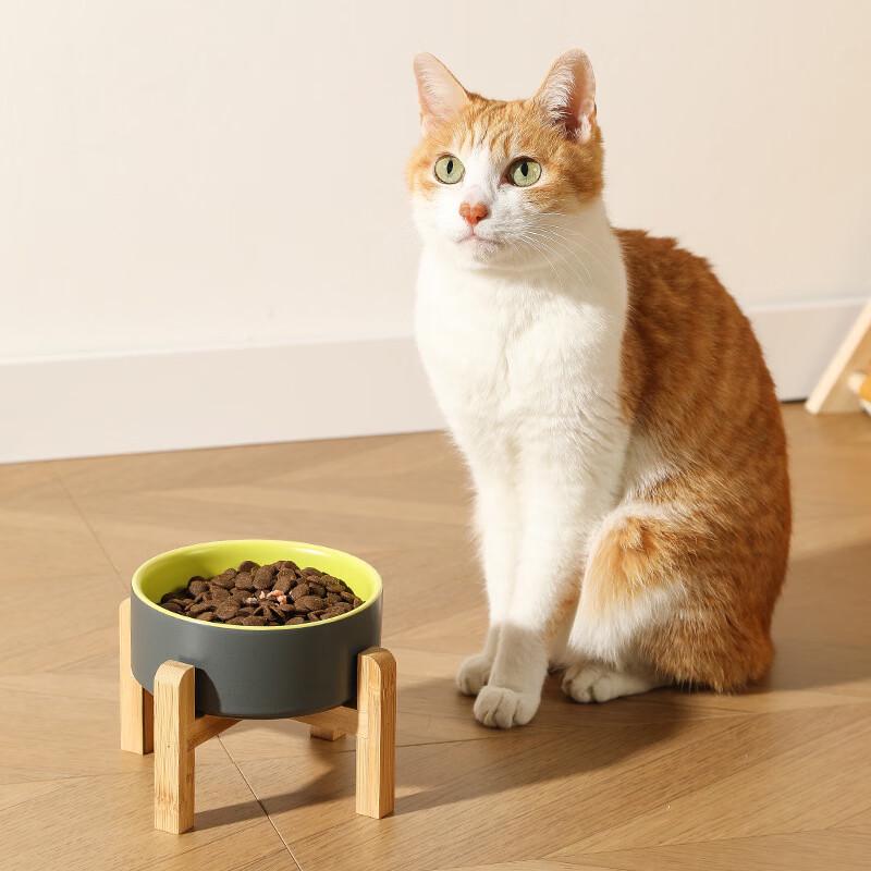 Ruhan Elevated Pet Food Bowl with Single Wooden Stand