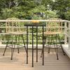 vidaXL Bar Stool 2 Pcs. 45x56x103.5 Cm PE Rattan and Steel