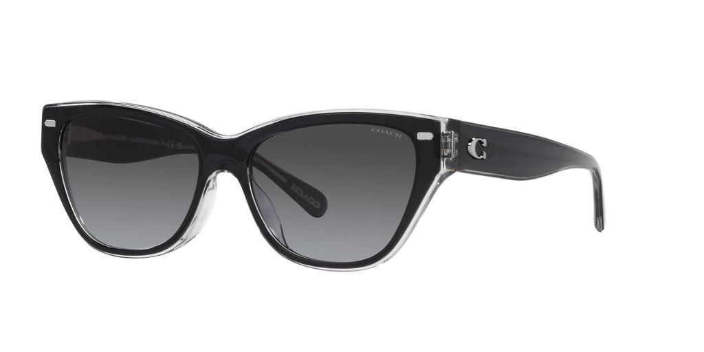 Sunglasses HC8370F CH660 GRAY GRADIENT Lens 56 [Coach] BLACK/TRANSPARENT Frame/GREY