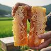Jayeondonghaeng 100% Domestic Gangwon-do Hongcheon Honeycomb Honey Natural Beeswax Yoajeong Honeycomb 1 pcs 250g