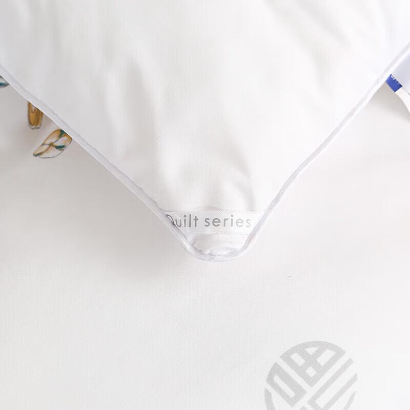 Jie Li Ya Soft Polyester Double Quilt