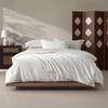 Mercury Home Textiles 2-in-1 Tussah Silk Quilt