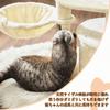 FEANDREA Cat Tower Mini Recommended for Kittens and Senior Cats Space Saving Scratching Tool Height 68cm PCT59M