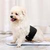 Belly Band Wrap Male Dog Diaper Nappy Pet Sanitary Panties Reusable Pet Underwear  for Dog