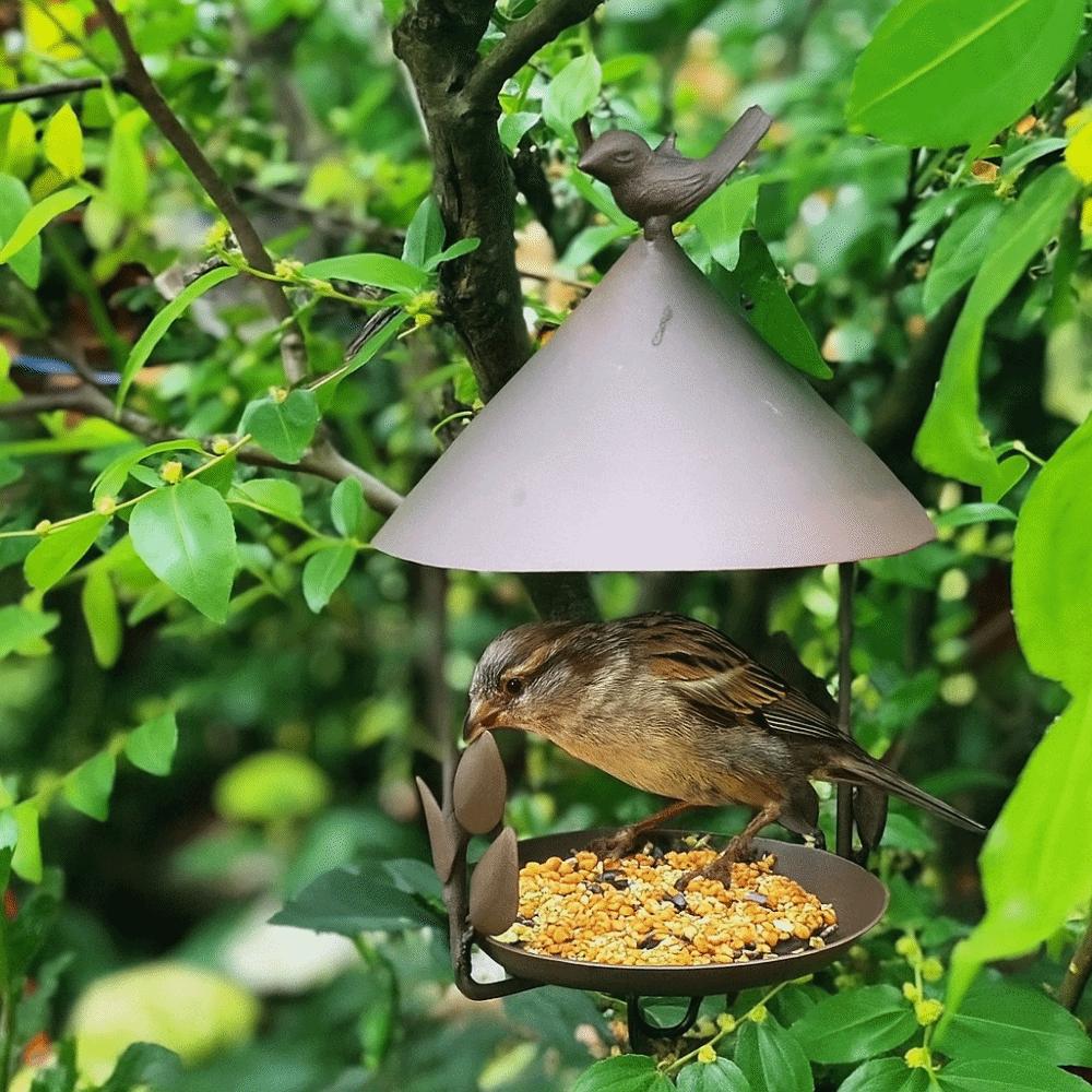 Windproof Bird Feeder Iron Bird Feeding Dish Garden Decor Bird Food Dispenser  Drinking