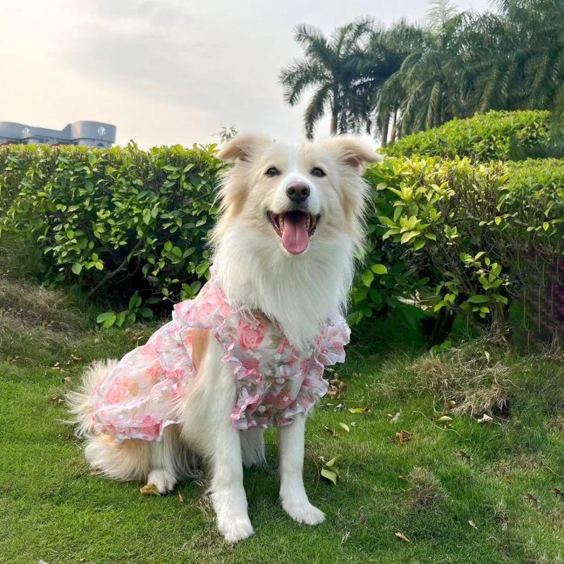 Summer Thin Mesh Pet Dog Clothes Fashion Flower Print Pink Princess Dresses For Meium Large Dogs Samoye Golden Retriever Dress