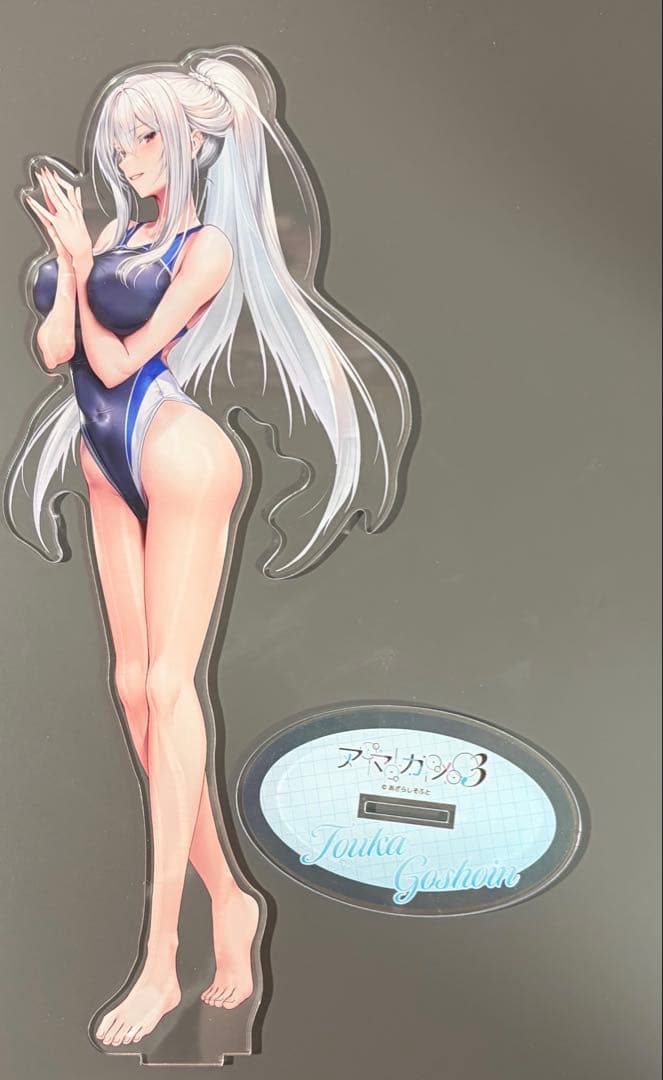 

[USED] Amakano 3 Sofmap Paid Bonus: Goshoin Fuyuka A4 Acrylic Figure