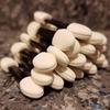 50 PCS Makeup tool Disposable Professional Eyeshadow Brush Sponge Applicator Double Foam Head