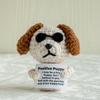 Cute Crochet Frog Toy - Fun Animal Gift