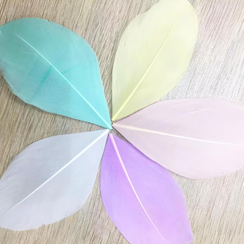 50Pcs Feathers Decoration Small 5-8Cm Mixed Colors For Crafts Clothing Red Green Hats Blue Black White Wedding Trim Piume Goose