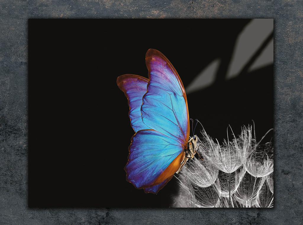 SZKLANA DESKA DO KROEJNIA 30x22 MOTYL