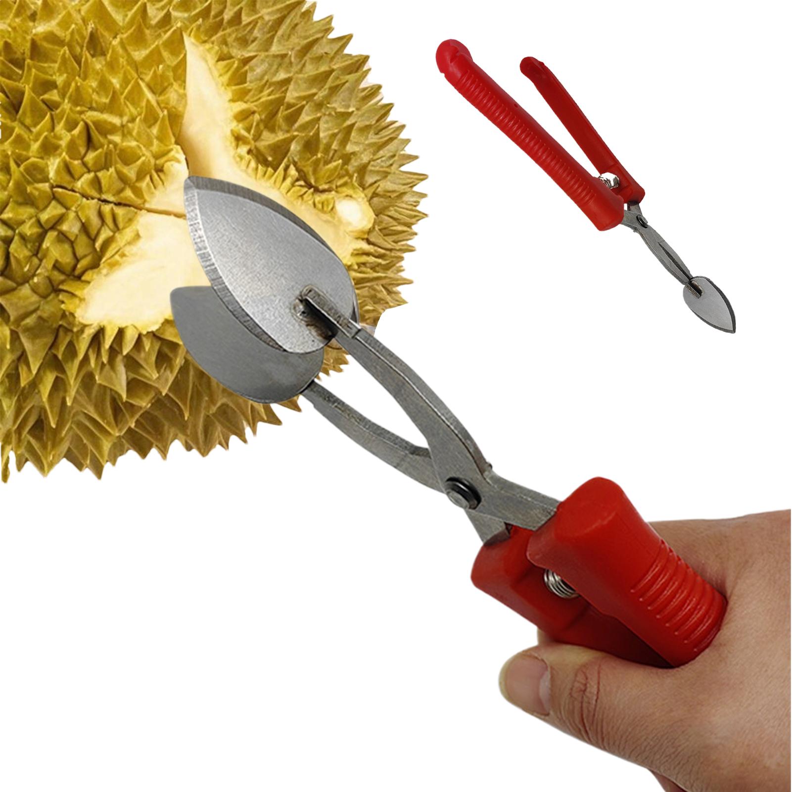 Fruit Sheller Opener Durian Sheller Clamp Stainless Steel Ergonomic Design Fruit Shell Opener Gadgets for Dorm Restaurant China Mainland