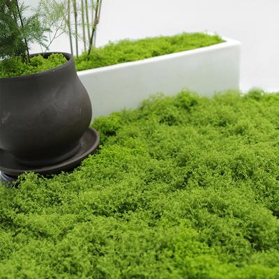 1Pc Diy Artificial Fresh Green Moss Lawn Micro Landscape Silk Moss Wedding Centerpieces Garden Terrariums Decoration Fake Moss