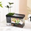 Plastic Fish Tank Small Goldfish Bowl Tabletop Tank Aquarium  Fish Freshwater Planted Tank