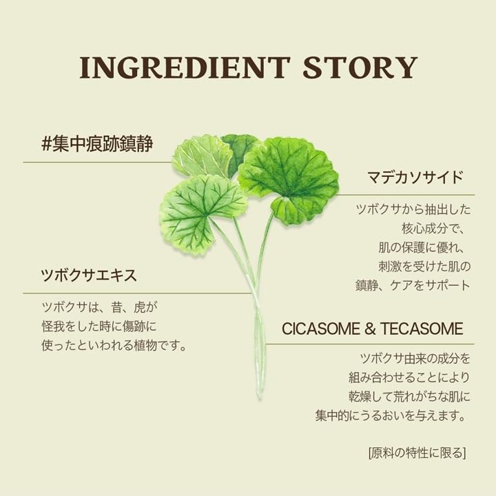 SKINFOOD Potato Madecassoside Mask Phase Korean Sheet Korean Face Mask (10 Sheets) Pack, Pack, Mask, Skincare,