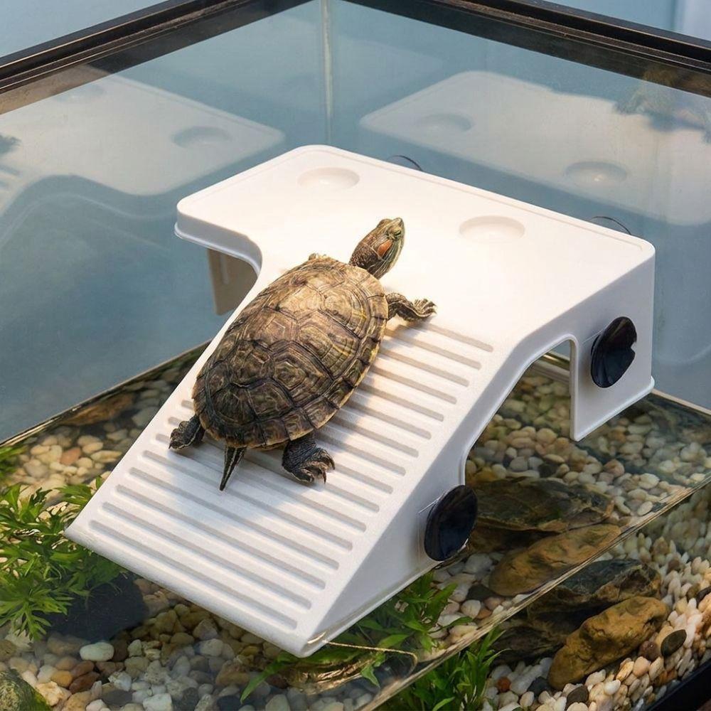 Non-Slip Basking Platform Suction Cup Turtle Climbing Slope Reptile Ramp  Pet Habitat