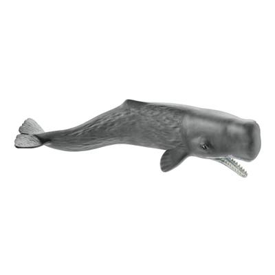 Schleich Wildlife Pottwal Figur 14764