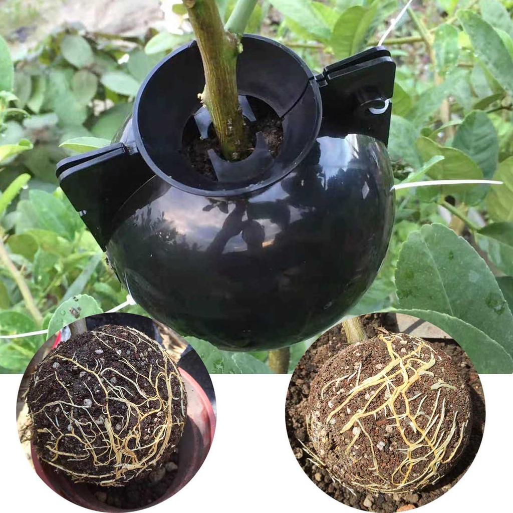 Plant High Pressure Box Propagation Ball Multipurpose Growing Supplies for Home Festival Fruit Tree Plant Growing Supply