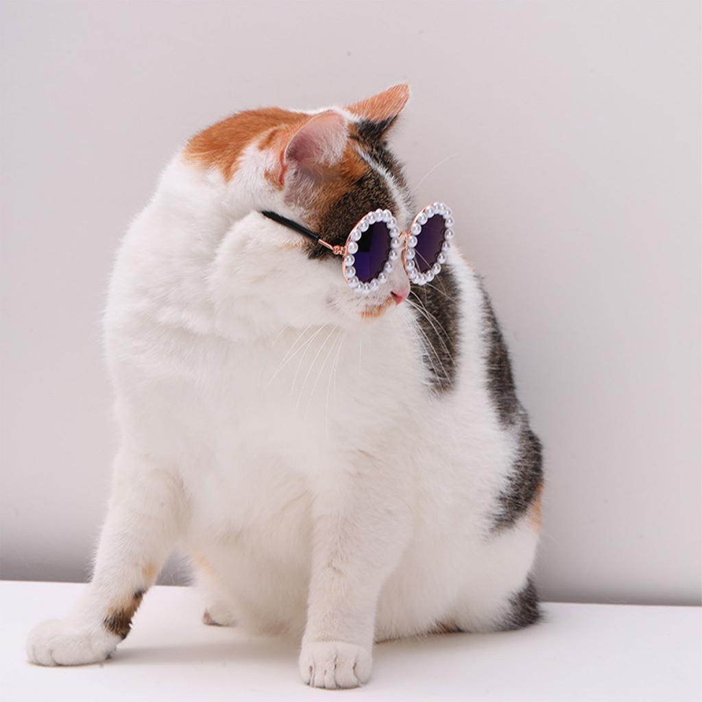 Pet Mini Sunglasses Pearls Colorful Glasses Dog Goggles Cute Sunglasses Photo Glasses Pet Goggles Pet Glasses
