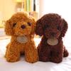 Teddy Dog Plush Toy Doll Puppy Doll Cute Poodle Gift for Children
