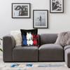 France Flag Graphic Design French Fans Square Pillow Case Cushions for Sofa  Cushion Covers