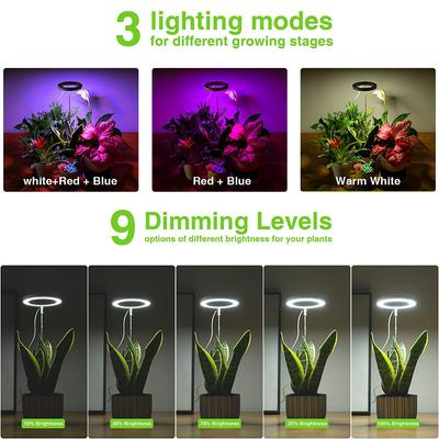 Full Spectrum LED Grow Lights for Indoor Plants Height Adjustable Dimmable Growing Lamp Flower Halo Ring Phyto Lamp Growth Light