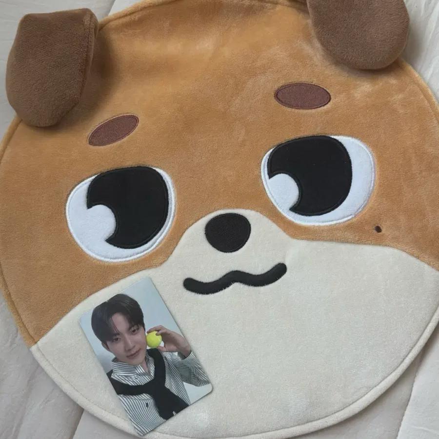 

DAY6 Даун Велл Шоу Вучива Обложка + Фотокарточка