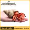 Hermit Crab Figurine Sea Life Animals Model Figure Educational Toy Boys Girls Kids Ages 18M for and Kid Friendly Entertaining Fun Play Safe