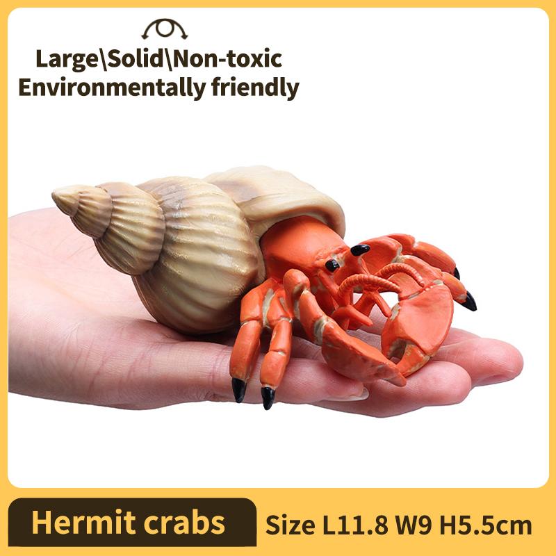 Hermit Crab Figurine Sea Life Animals Model Figure Educational Toy Boys Girls Kids Ages 18M for and Kid Friendly Entertaining Fun Play Safe