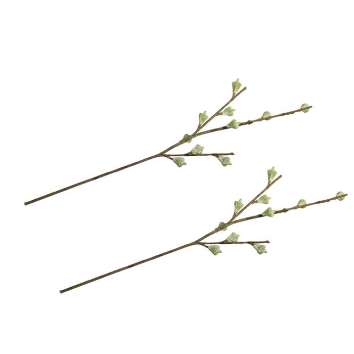 2 branches de fruits d'eucalyptus