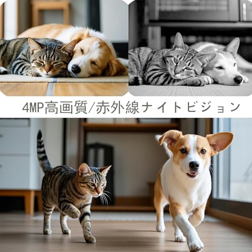 Gosulub Pet Camera, 4 Megapixel, 2K, Dual Band, 5GHz/2.4GHz, Wi-Fi, 355° Swivel, Auto Tracking, Two-Way Talk, Motion Detection, Smartphone Compatible,