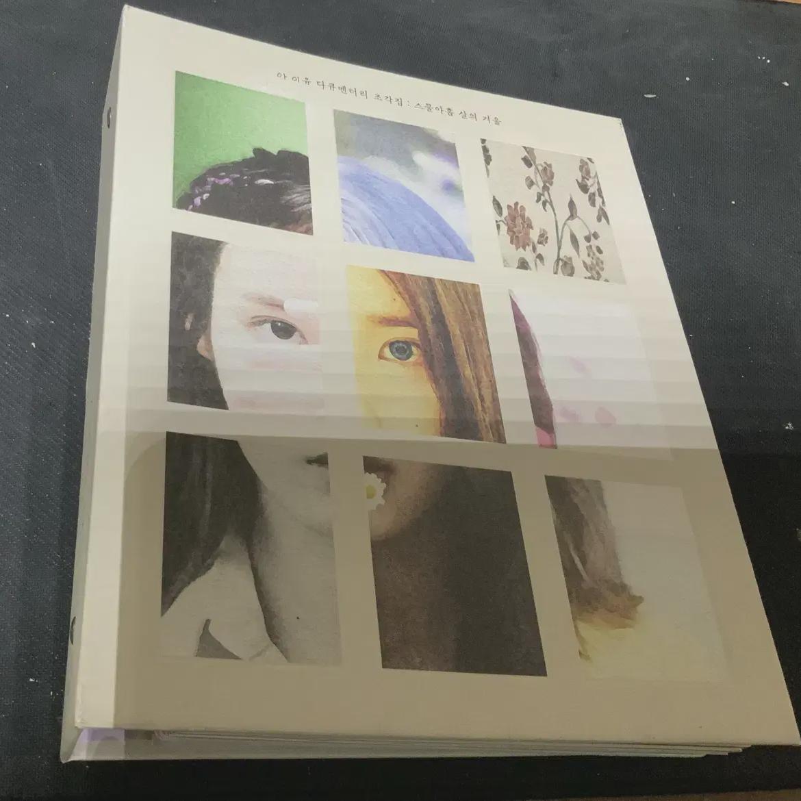 

Iu Documentary Sculpture Collection: Winter At The Age Of Twenty-nine