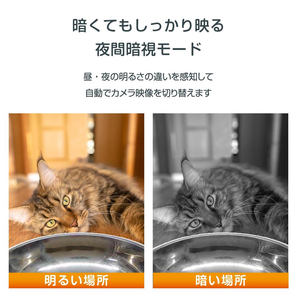 Beste Keuze Huisdier Voerbak voor Katten en Honden Automatische Huisdier Voerbak met App Inbegrepen Multifunctioneel Afstandsbediening Spraak Stil Beeld Nachtzicht Geschikt voor