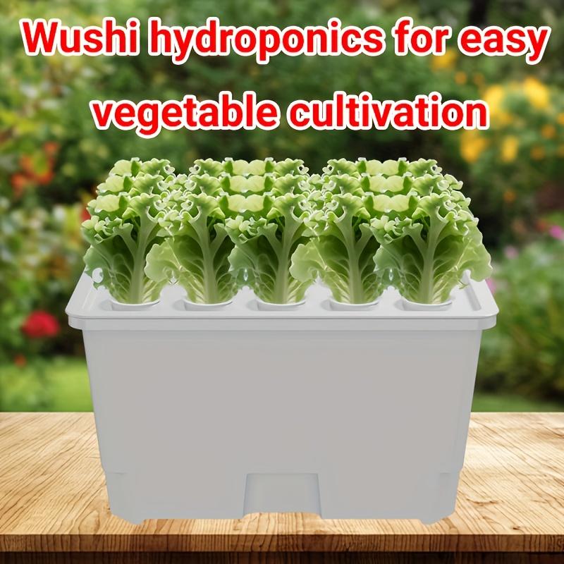 No-Electricity Hydroponic Growing System Soilless Vegetable Herb Seedbed Starter Kit Black/White/Transparent for Balcony Indoor