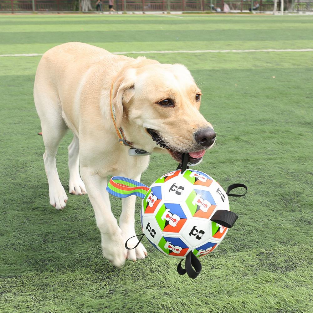 Interactive Durable Dog Soccer Ball Toy With Straps TPU Nylon Bite Resistant Chew Training Outdoor Fetch for Large Small Dogs
