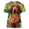 Funny Animal The Dachshund Graphic T Shirts Men Summer Fashion Casual Quick-drying T-shirt 3D Printed Streetwear Tees Tops