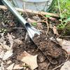 Willow Leaf Shovel Gardening Shovel Succulent Planting Shovel Portable Tools