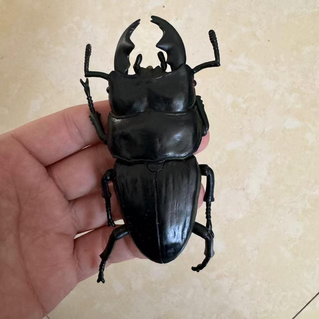 Biographical Analysis of Deer Antler Beetle and Claw Shaped Insect Beetle Gacha Simulation Animal Movable Joints Figure Toys