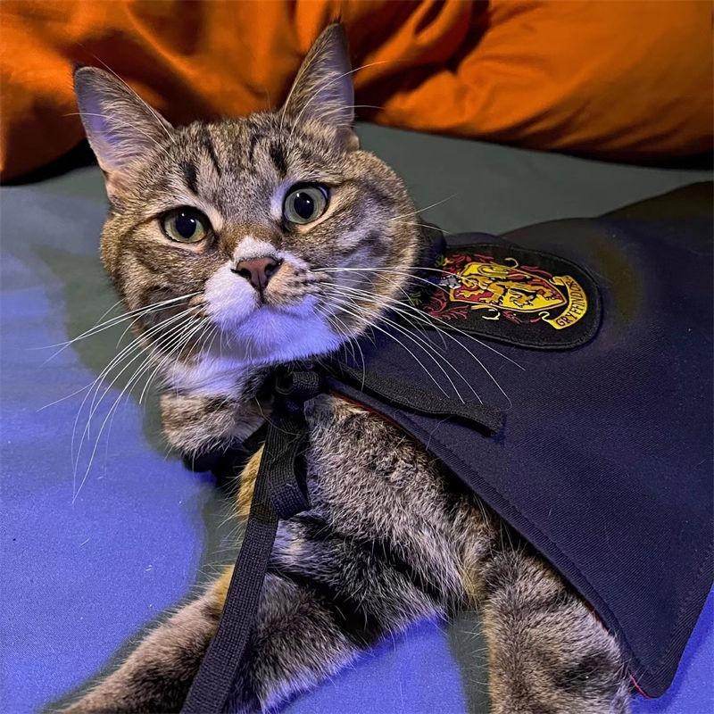 Kostým pro psa na párty Akademie Kouzel Cosplay Oblečení Plášť pro mazlíčka Kočičí dekorace Halloweenský plášť Kolejní Oční motýlek Plášťový oblek pro mazlíčka