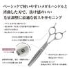 DEEDS GDZ630R Thinning No Groove Thinning Approximately for Professional Hairdressers and Includes Case [PF] Scissors, 30-Tooth, (6.0 inches, Rate