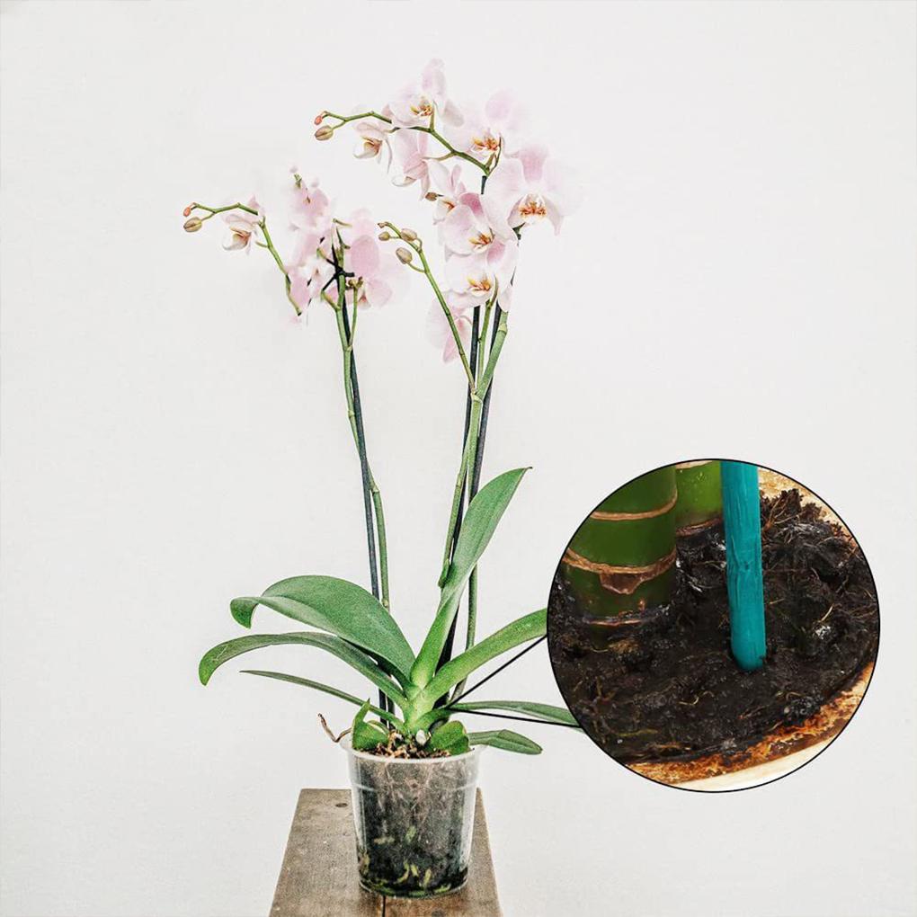 ABS Reliable Practical To Orchid Stakes For Secure Plant Support Plastic Tree Trunk Guard