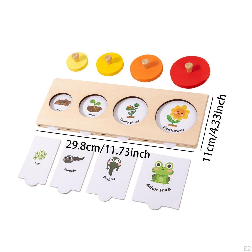 Puzzle Toy Life Cycle Matching Game Animal Growth Puzzle,Learning,Montessori Toy,Jigsaw