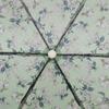 WPC Transparent 3 Fold Umbrella Pt Mt 002