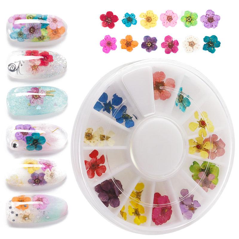 1Box Dried Flowers Dry Plants for Rsein Molds Fillings Epoxy Resin Pendant Tweezers Jewelry Making Craft DIY Nail Art Decoration