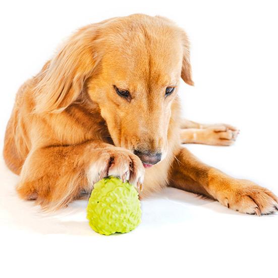 Pet Chew Toy Sweetsop Shape Built-in Sounds Interactive Natural Rubber Dog Chew Toy Concave-Convex Particles Relieve Boredom Energy Pet