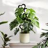 Artistic Heart Shape Iron Garden Trellis Stake for Climbing Plant Support and Outdoor Yard Decoration with Rust Resistant